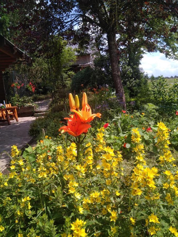 Lessive Chalet Le Paradou Adults Only מראה חיצוני תמונה